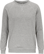 Lennox Unisex Collegepusero
