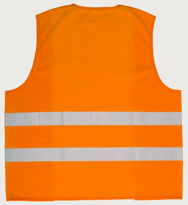 Liivi HiVis 1.0 2 Leijona