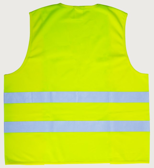 Liivi HiVis 1.0 2 Leijona
