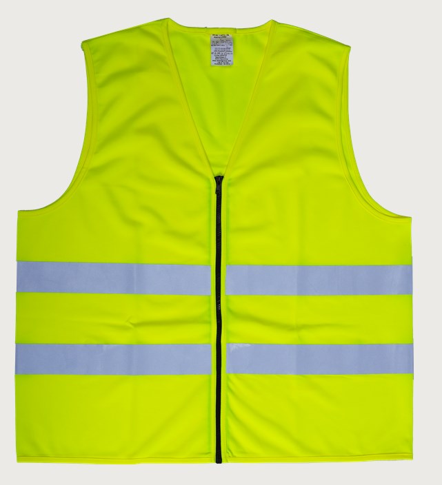Liivi HiVis 1.0 1 Leijona
