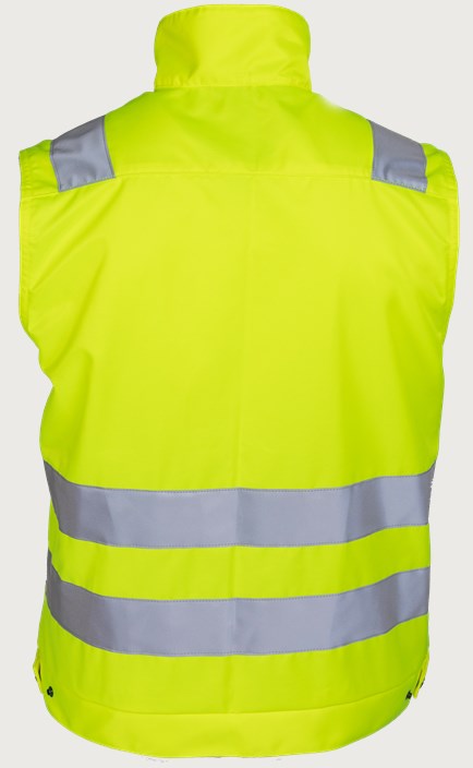 Liivi HiVis 1.0 2 Leijona